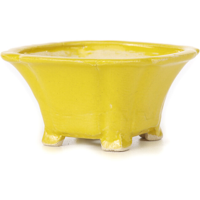 Vaso bonsai quadrato giallo di Seto - 90 x 90 x 45 mm
