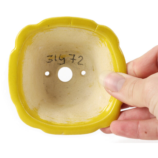 Pot à bonsaï carré jaune par Seto - 90 x 90 x 45 mm