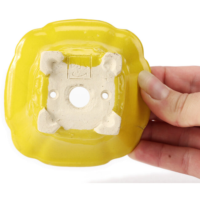 Pot à bonsaï carré jaune par Seto - 90 x 90 x 45 mm