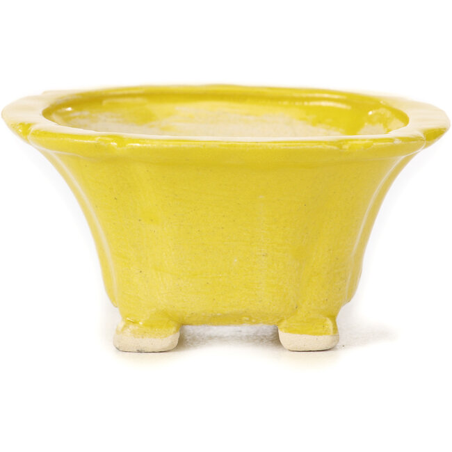 Pot à bonsaï carré jaune par Seto - 95 x 95 x 50 mm