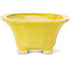 Pot à bonsaï carré jaune par Seto - 95 x 95 x 50 mm