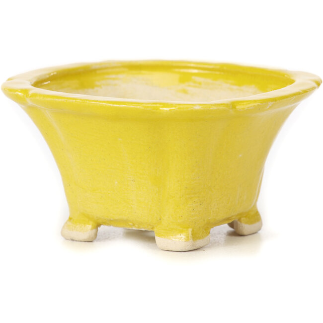 Vaso bonsai quadrato giallo di Seto - 95 x 95 x 50 mm
