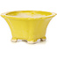 Pot à bonsaï carré jaune par Seto - 95 x 95 x 50 mm
