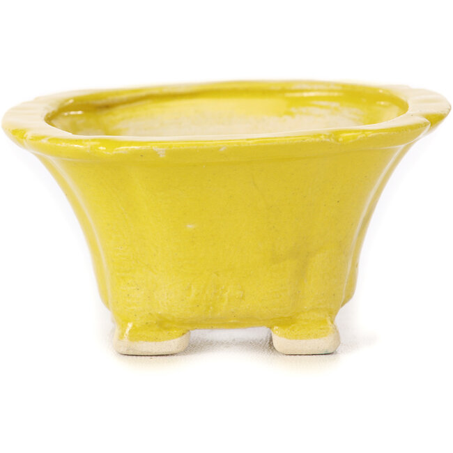 Square yellow bonsai pot by Seto - 95 x 95 x 50 mm