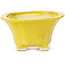 Pot à bonsaï carré jaune par Seto - 95 x 95 x 50 mm