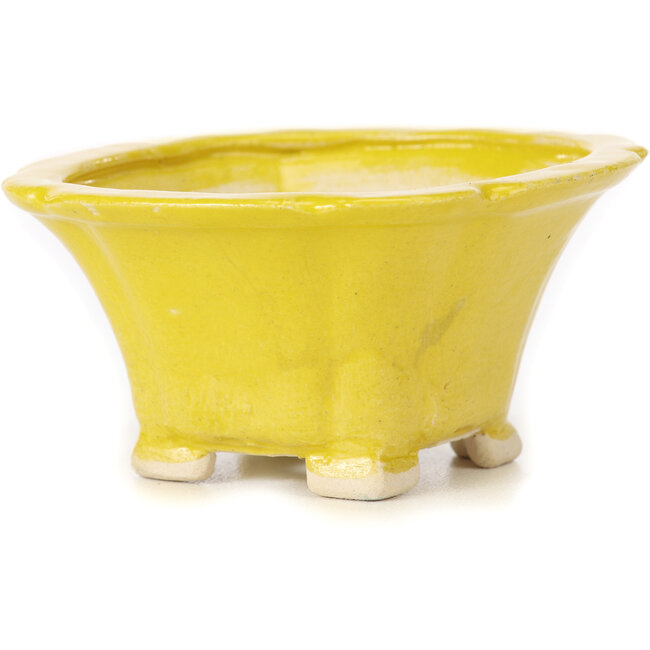 Square yellow bonsai pot by Seto - 95 x 95 x 50 mm