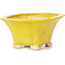 Pot à bonsaï carré jaune par Seto - 95 x 95 x 50 mm