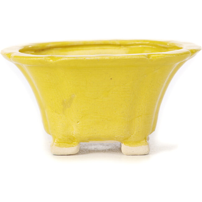 Pot à bonsaï carré jaune par Seto - 95 x 95 x 50 mm