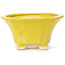 Pot à bonsaï carré jaune par Seto - 95 x 95 x 50 mm