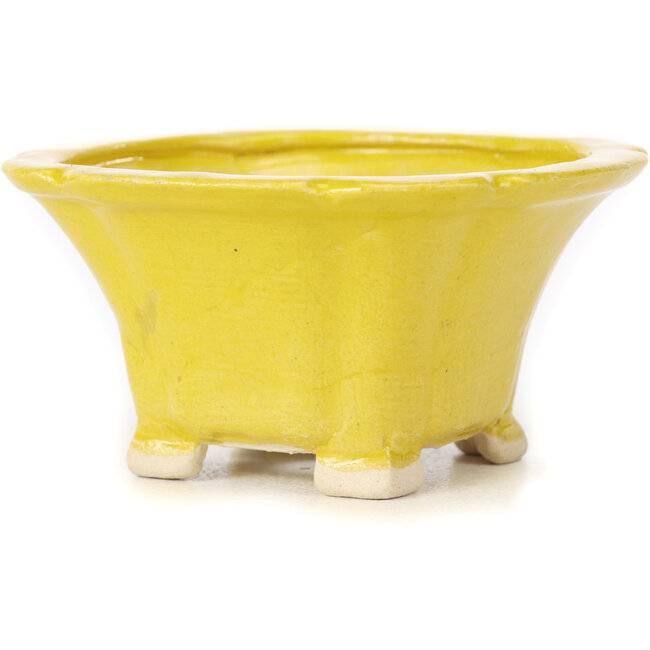 Vaso bonsai quadrato giallo di Seto - 95 x 95 x 50 mm