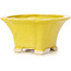 Pot à bonsaï carré jaune par Seto - 95 x 95 x 50 mm