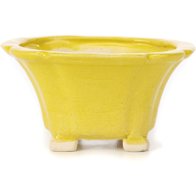 Square yellow bonsai pot by Seto - 95 x 95 x 50 mm