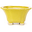 Pot à bonsaï carré jaune par Seto - 95 x 95 x 50 mm