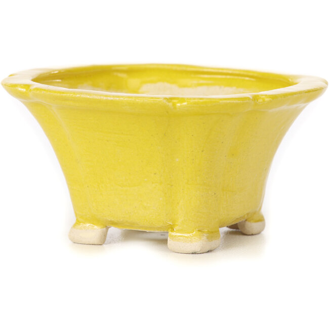 Square yellow bonsai pot by Seto - 95 x 95 x 50 mm
