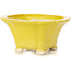 Pot à bonsaï carré jaune par Seto - 95 x 95 x 50 mm