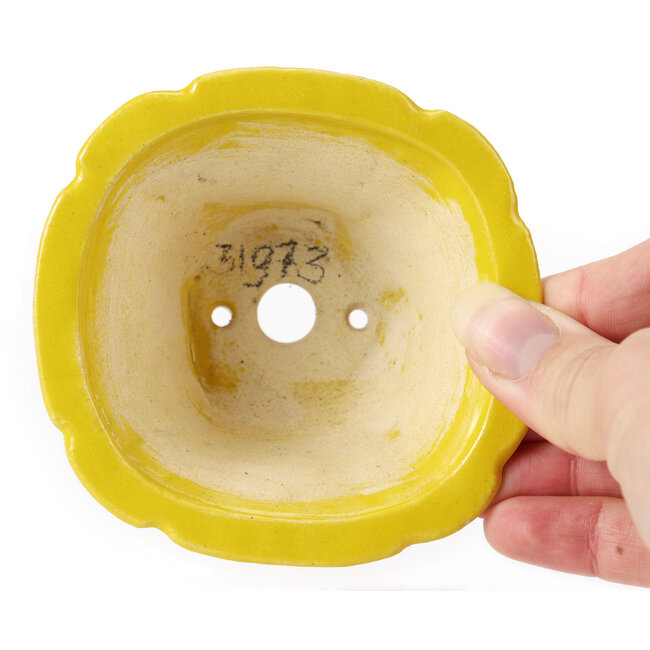 Vaso bonsai quadrato giallo di Seto - 95 x 95 x 50 mm