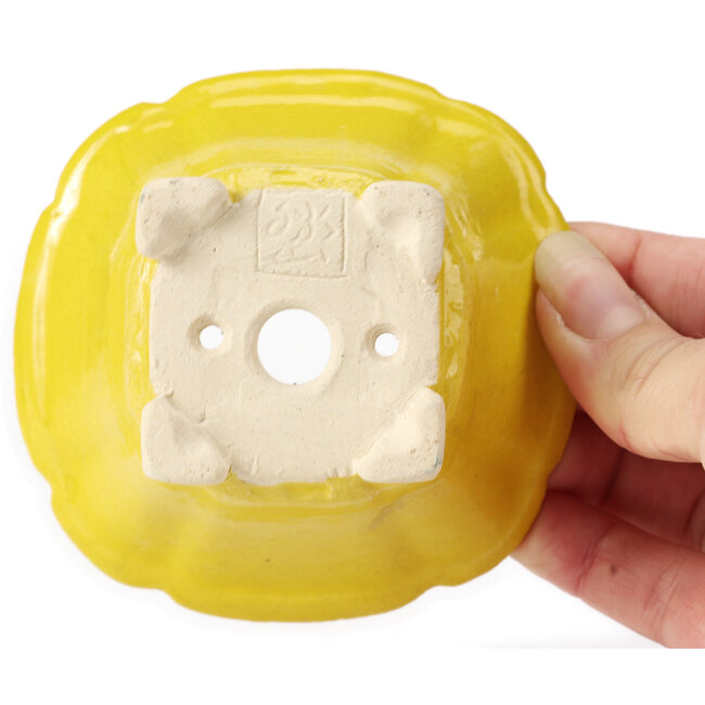 Pot à bonsaï carré jaune par Seto - 95 x 95 x 50 mm