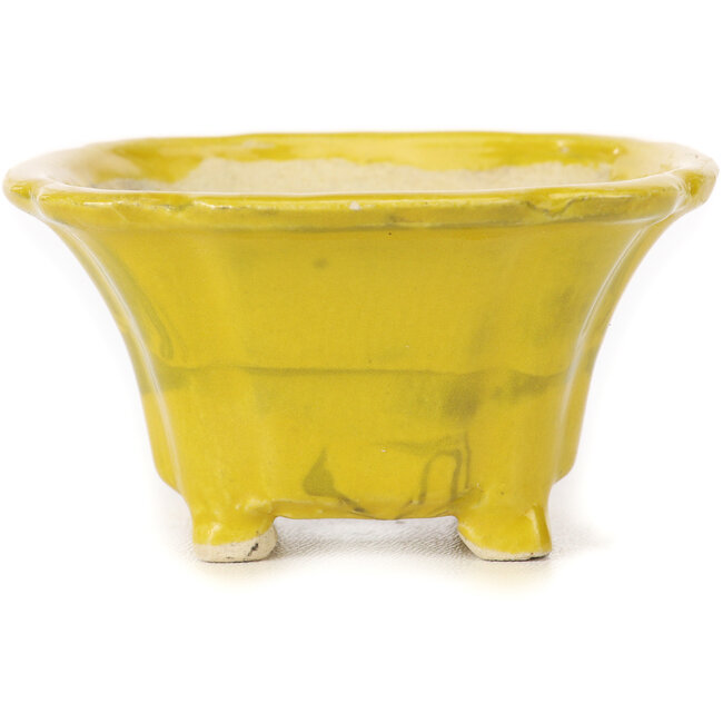 Pot à bonsaï carré jaune par Seto - 90 x 90 x 50 mm