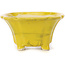 Pot à bonsaï carré jaune par Seto - 90 x 90 x 50 mm