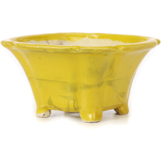 Maceta de bonsái amarilla cuadrada de Seto - 90 x 90 x 50 mm