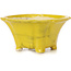 Pot à bonsaï carré jaune par Seto - 90 x 90 x 50 mm