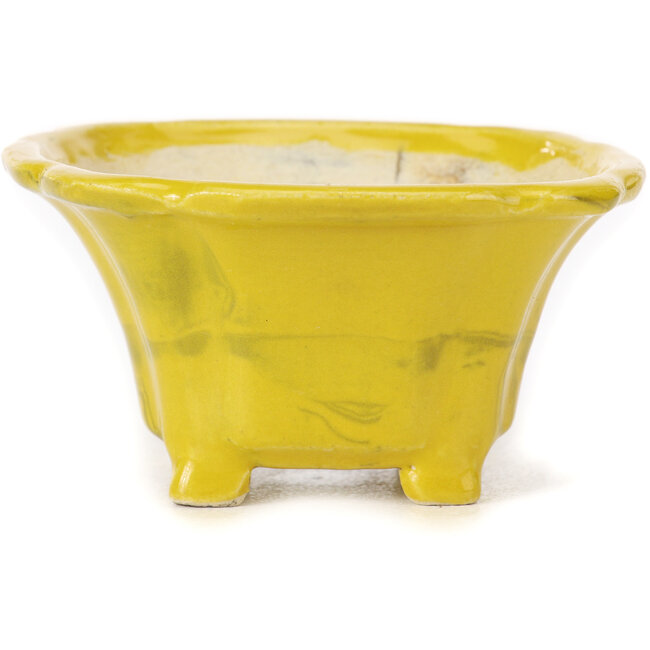 Maceta de bonsái amarilla cuadrada de Seto - 90 x 90 x 50 mm