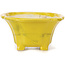 Pot à bonsaï carré jaune par Seto - 90 x 90 x 50 mm