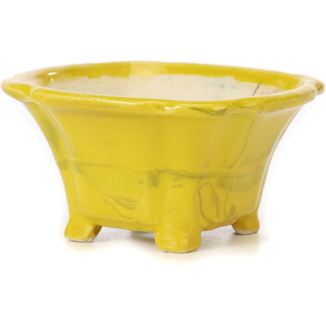 Vaso bonsai quadrato giallo di Seto - 90 x 90 x 50 mm