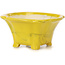Maceta de bonsái amarilla cuadrada de Seto - 90 x 90 x 50 mm