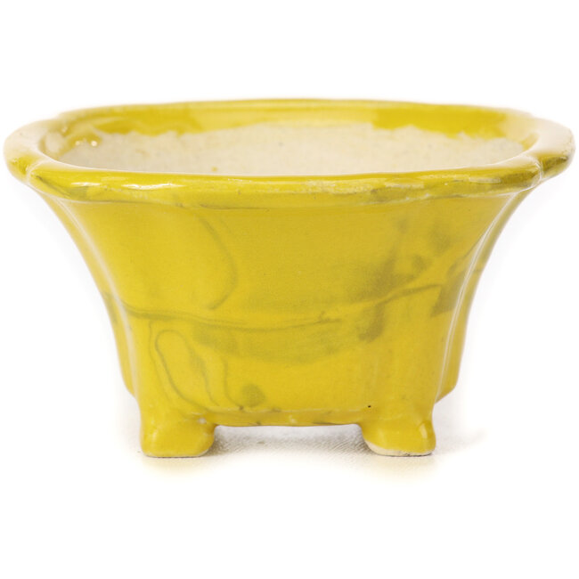 Square yellow bonsai pot by Seto - 90 x 90 x 50 mm