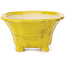 Square yellow bonsai pot by Seto - 90 x 90 x 50 mm