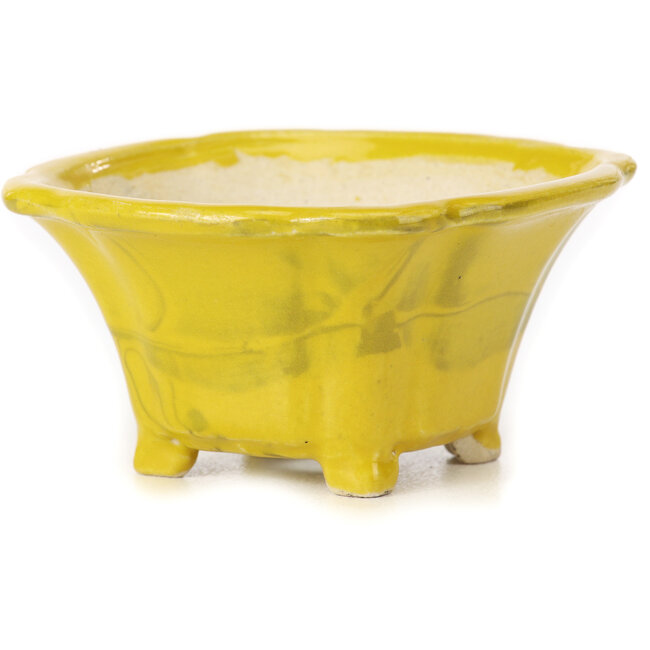 Maceta de bonsái amarilla cuadrada de Seto - 90 x 90 x 50 mm