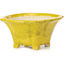 Square yellow bonsai pot by Seto - 90 x 90 x 50 mm