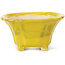 Pot à bonsaï carré jaune par Seto - 90 x 90 x 50 mm