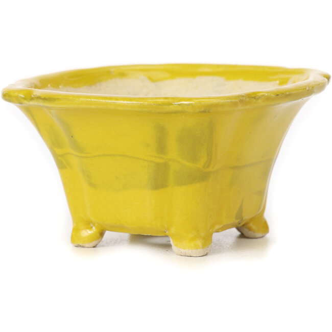 Quadratische gelbe Bonsaischale von Seto - 90 x 90 x 50 mm