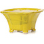 Pot à bonsaï carré jaune par Seto - 90 x 90 x 50 mm