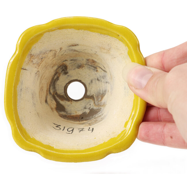 Vaso bonsai quadrato giallo di Seto - 90 x 90 x 50 mm