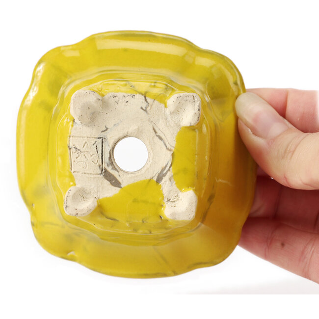 Pot à bonsaï carré jaune par Seto - 90 x 90 x 50 mm