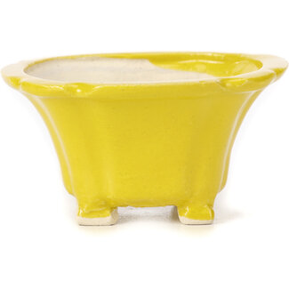 Seto 95 mm square yellow bonsai pot by Seto, Japan