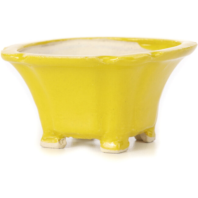 Vaso bonsai quadrato giallo di Seto - 95 x 95 x 50 mm
