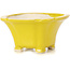 Pot à bonsaï carré jaune par Seto - 95 x 95 x 50 mm