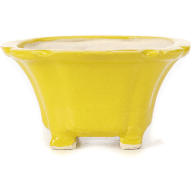 Vaso bonsai quadrato giallo di Seto - 95 x 95 x 50 mm