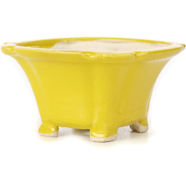 Square yellow bonsai pot by Seto - 95 x 95 x 50 mm