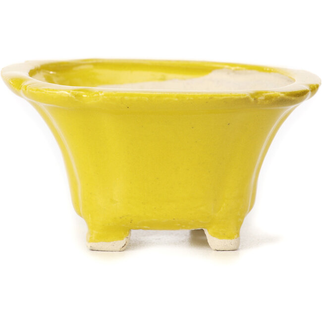 Pot à bonsaï carré jaune par Seto - 95 x 95 x 50 mm