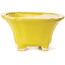 Pot à bonsaï carré jaune par Seto - 95 x 95 x 50 mm