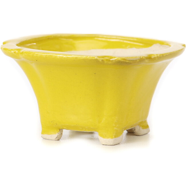 Pot à bonsaï carré jaune par Seto - 95 x 95 x 50 mm