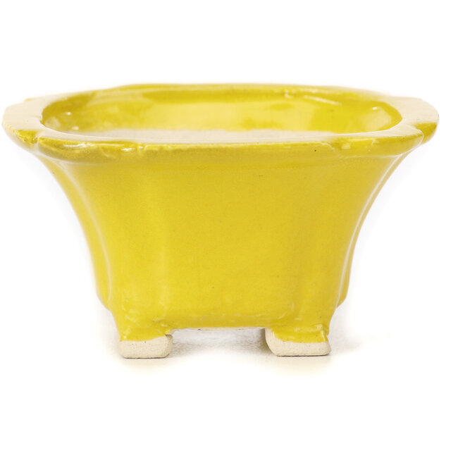 Quadratische gelbe Bonsaischale von Seto - 95 x 95 x 50 mm