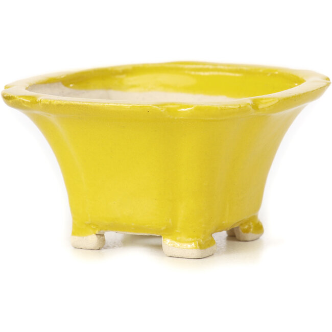 Quadratische gelbe Bonsaischale von Seto - 95 x 95 x 50 mm