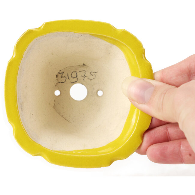 Quadratische gelbe Bonsaischale von Seto - 95 x 95 x 50 mm