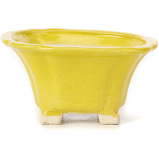 Seto Pot à bonsaï carré jaune 90 mm par Seto, Japon